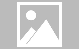 无棣搭建网站招聘信息（网站制作 招聘）